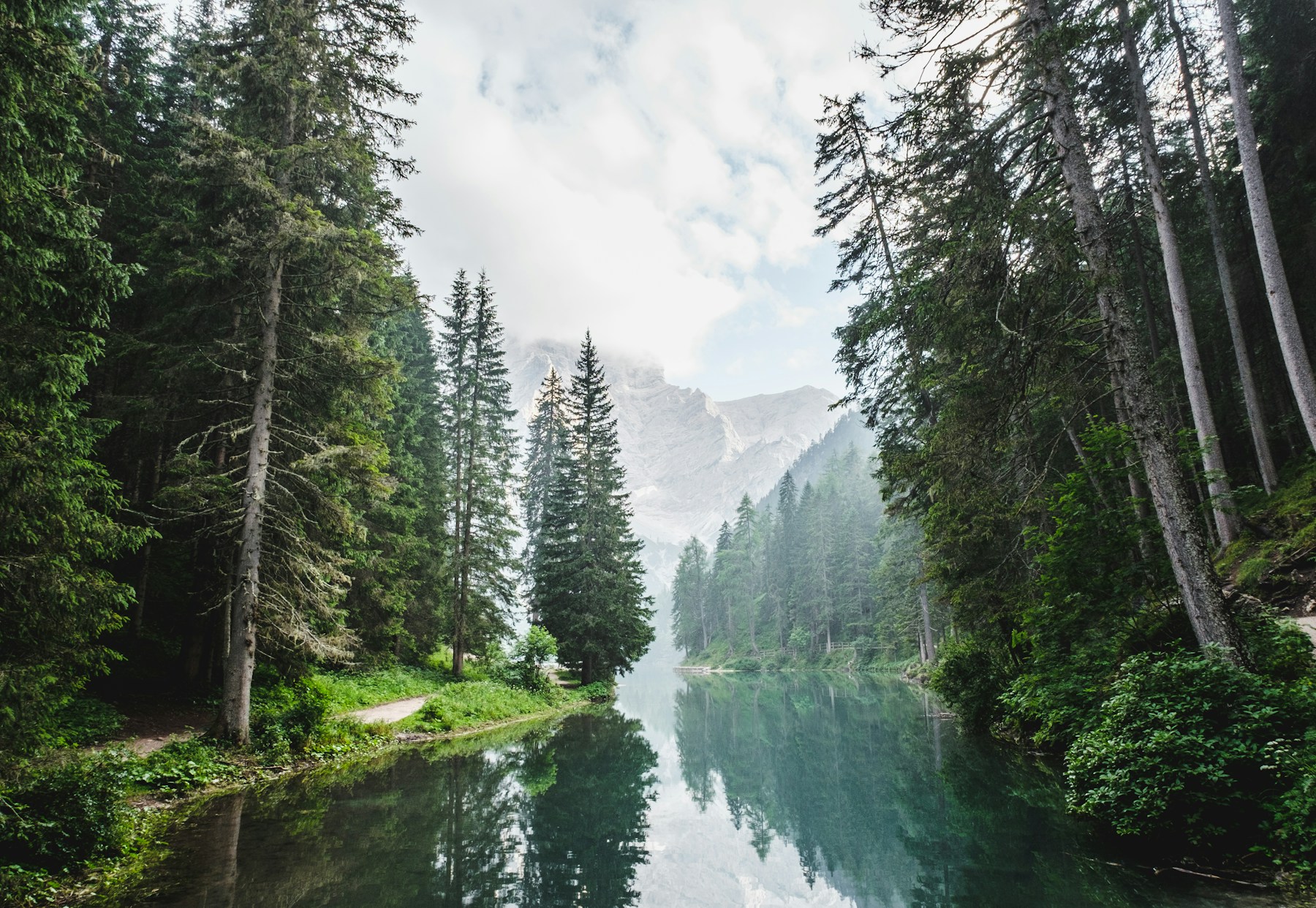 Open natural landscape in soft evening light